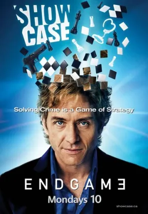 Конец игры (сериал 2011)