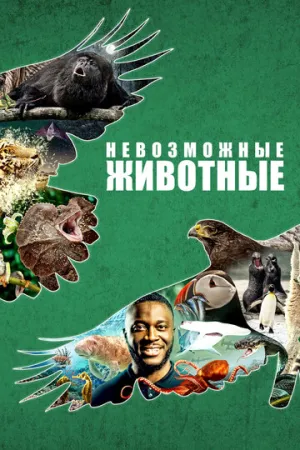 Невозможные животные (сериал 2021)