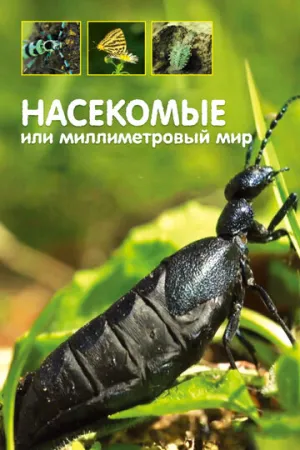 Насекомые, или Миллиметровый мир (сериал 2014)